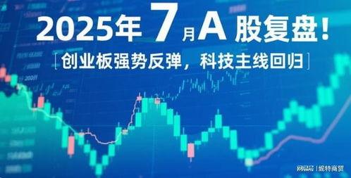 2025最新a 免费片,盘点最新A片佳作